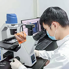 斯恒實(shí)驗(yàn)室